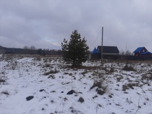 ул. Молодежная (с. Олеевка, Житомирский район) - Продається ділянка під забудову, 7700 $ - АФНУ