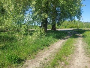 Зврічча (с. Млынище, Житомирский район) - Продається ділянка під забудову, 8000 $ - АФНУ