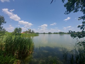 Люби Кучер (с. Млынище, Житомирский район) - Продається ділянка під забудову, 46000 $ - АФНУ