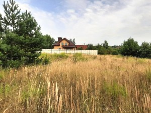 Берегова (с. Тетеровка, Житомирский район) - Продається ділянка під забудову, 24500 $ - АФНУ